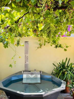 Bo-Kaap hidden gem with Hot Tub